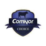 comnorchoice-150x150